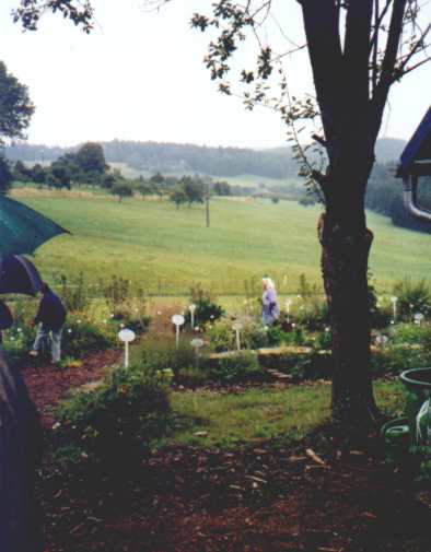 herrliche Lage der Kruterterrassen