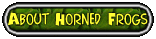 About Horned Frogs