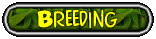 Breeding Your Horned Frog