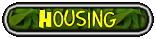 Housing Your Frog