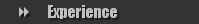 Experience