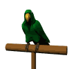 parrot_green_md_wht.gif (8646 bytes)