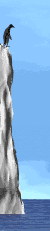 penguin_dive_md_wht.gif (9156 bytes)