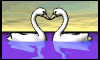 swan_heart_md_wht.gif (9580 bytes)