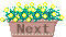 next-3.gif (769 bytes)