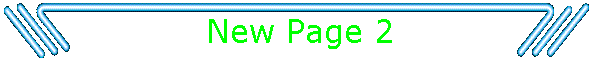 New Page 2