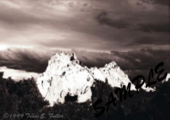 Taken in the Garden of the Gods, Colorado Springs, Colorado