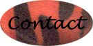 contact.jpg (6962 bytes)