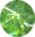 smbutt.jpg (3142 bytes)