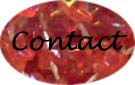contact.jpg (8601 bytes)
