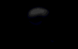 fading skull