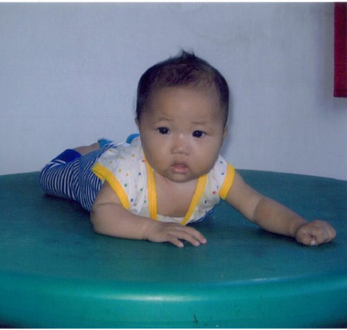 Photograph