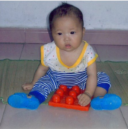 Photograph