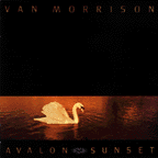 Avalon Sunset cover