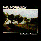 Can You Feel The Silence cover