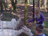 Wild Park in Gangelt Germany