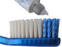 How much teeth you have?. Dental care.