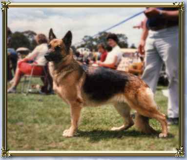 Click to see Chrissy's pedigree