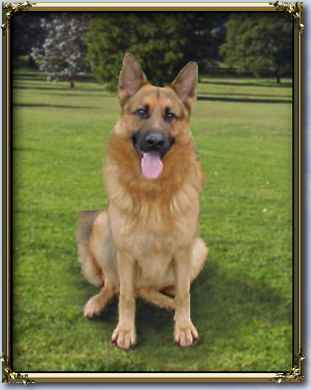 Click here to see Sarge's page