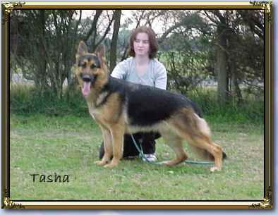 Click to see Tasha's pedigree