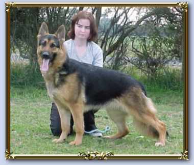 Click to see Tasha's page