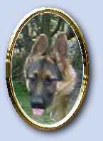 Click to see Tori's pedigree