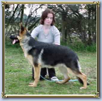 Click to see Tori's page