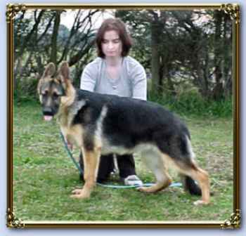 Click to see Tori's page
