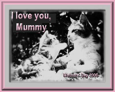 Mothers' Day Card