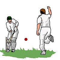 cricket