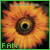 The Lacuna Coil Fanlisting
