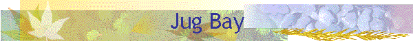 Jug Bay