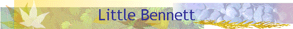 Little Bennett