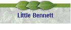 Little Bennett
