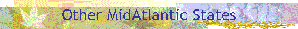 Other MidAtlantic States