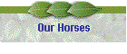 Our Horses