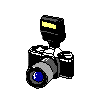 nwsflash.gif (11910 bytes)