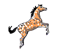 playfult.gif (26454 bytes)
