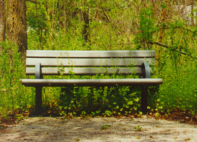 bench