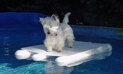 puppypontoon