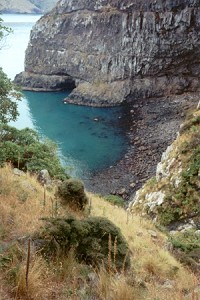 A lunch time view at Akaroa Heads