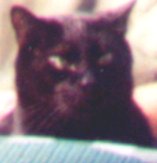 Edgar
