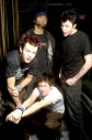 sum 41