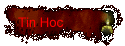 Tin Hoc