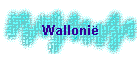 Walloni