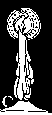 Kaars