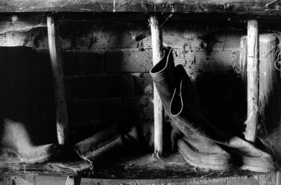 BOTAS