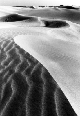 DUNAS 2