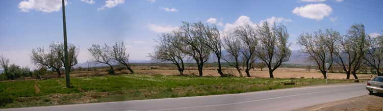 Panorama view _outside bastam 2km away from the shrine of bayazid bastami