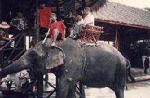 River Kwai Elephant Ride